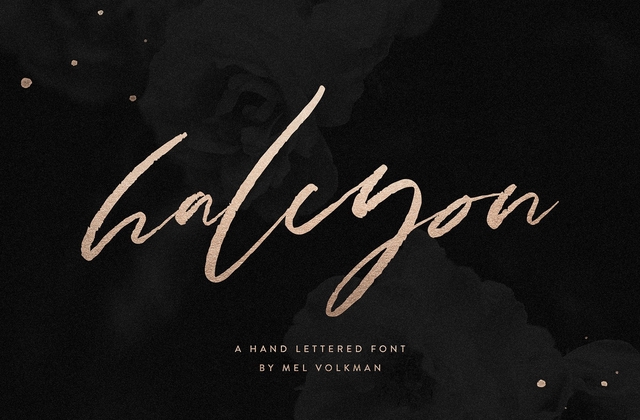 Halcyon Brush